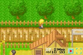 Your grandfather has died and left you, a handsome urban youth, a large farm in the peaceful countryside. Harvest Moon More Friends Of Mineral Town Download Gamefabrique