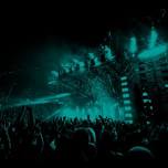 Intencity Festival 2024