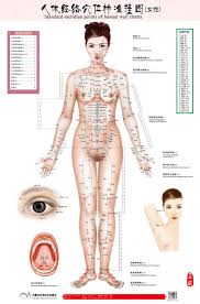 Standard Meridian Points Of Human Wall Chart Female Male