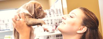 All animals are worthy of love and a good home: Animal Care Clinic Huntsville Al Veterinary Clinic