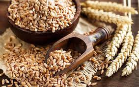 what is spelt and is it healthier for