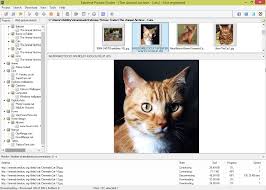 Extreme Picture Finder - Download free
