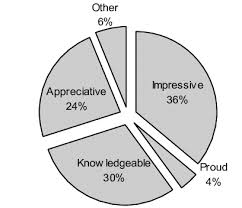 Pie Chart Showing The Respondents First Impression After