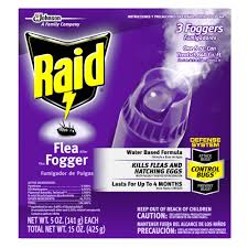 raid 15 oz flea fogger at lowes com