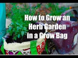 Herb Garden In A Grow Bag Container