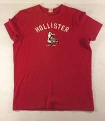 Hollister Vintage Seagull Bird T Shirt Hollister Mens Size