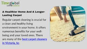 hire the best carpet cleaners in