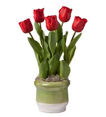 Merry Tulip Bulb Garden Gift