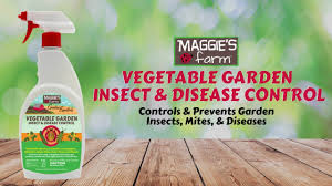 vegetable garden insect disease