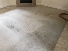 gallery bruce s carpet cleaning