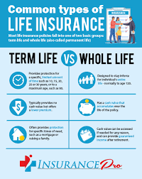 term life insurance insurance pro florida
