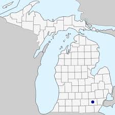 Colutea arborescens - Michigan Flora