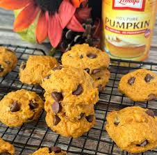 soft pumpkin chocolate chip cookies