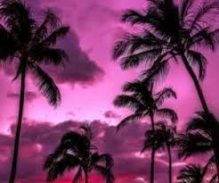 How to be a baddie! Image Result For Baddie Background Miami Sunset Background Pictures Sunset