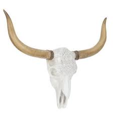 Longhorn Skull Wall Decor With Lace