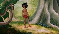 Her body, mind and soul belong exclusively to her master until another resident of the jungle takes interest in her fabulous figure. Mowgli Ranjan And Kaa By Mowgli Tales Fur Affinity Dot Net