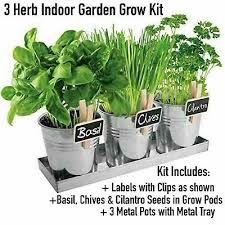 Kitchen Herbs Grow Kit Indoor Garden