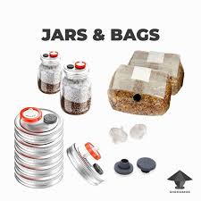 jars with substrate for mushroom s