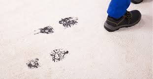 how to tell when your carpet needs cleaning