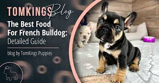 the best food for french bulldog