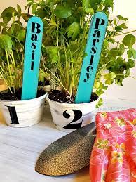 Diy Indoor Herb Garden For Your Kitchen
