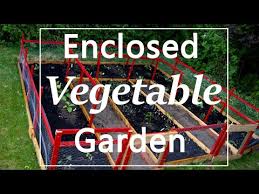 Diy Enclosed Vegetable Garden