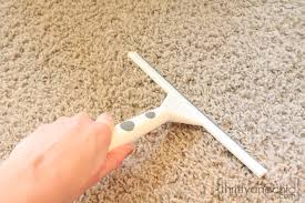 cleaning dog hair off of carpet