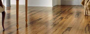 How To Clean And Care For Vinyl Floors
