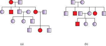How To Determine If A Pedigree Analysis Is I Sex Linked Or