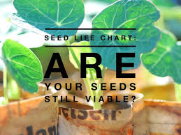 seed life chart how long will seeds