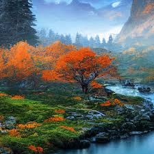 beauty of the nature wallpaper in
