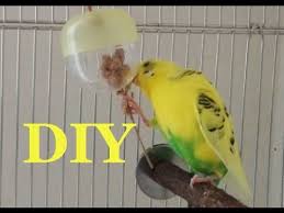 diy bird foraging toys