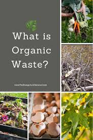 What Is Organic Waste Fire Dawgs
