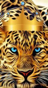 King Tiger, tiger king, HD mobile ...