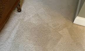 st augustine carpet cleaning just
