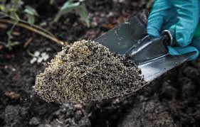 preparing garden soil for planting