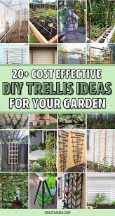 Diy Trellis Ideas For The Gardener