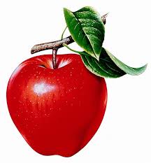 red apple fruit hd phone wallpaper