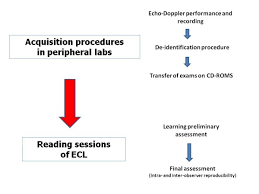 Flow Chart Of The Methodological Approach For Acquisition