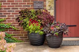 Container Gardening The Complete Guide