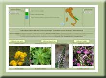 Acta Plantarum - Home Page