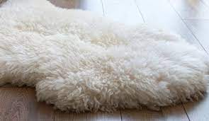 sheepskin rug cleaning in edmonton