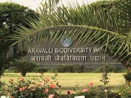 Aravalli Biodiversity Park Gurgaon