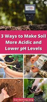 Soil More Acidic And Lower Ph Levels