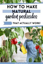how to make natural garden pesticides