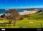 Meadow of fresh green grass. Oyambre beach, Comillas. Cantabrian ...