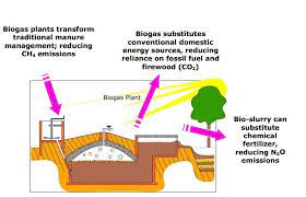biogas digester plans