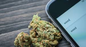 Marijuana dispensaries & delivery near you fly your flag high for pride month. New Smartphone App Lets You Browse Order And Pick Up Legal Weed Grow