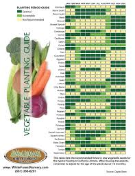 Outdoors Vegetable Planting Guide