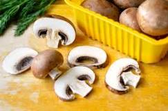 How can you tell if a mushroom is fresh?